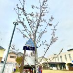 一時保育・だれでも通園制度